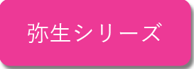 弥生シリーズ講座はこちらのボタンより