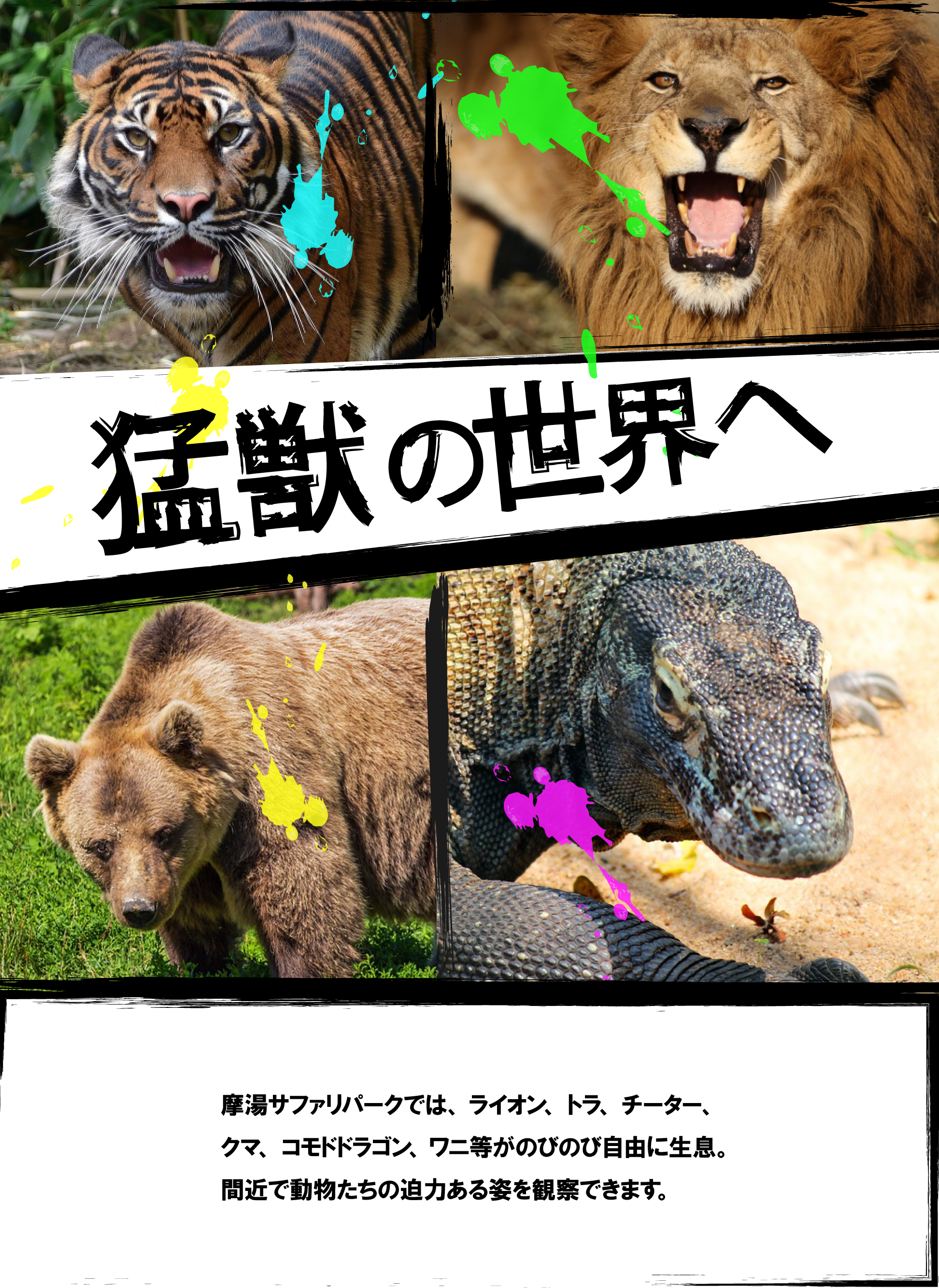 猛獣の画像テキスト猛獣の世界へ