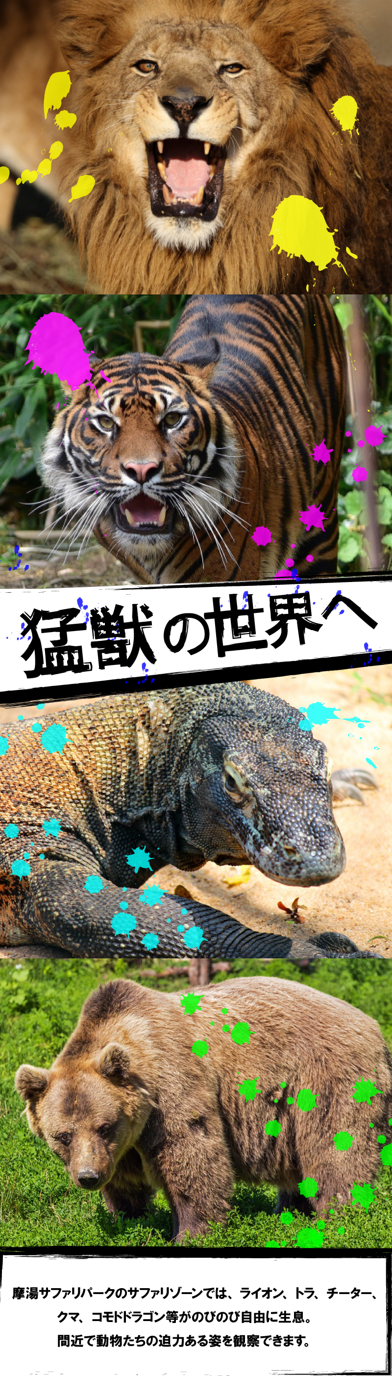 猛獣の画像テキスト猛獣の世界へ