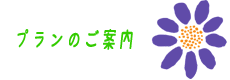 プランのご案内